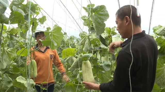 市场分析概述