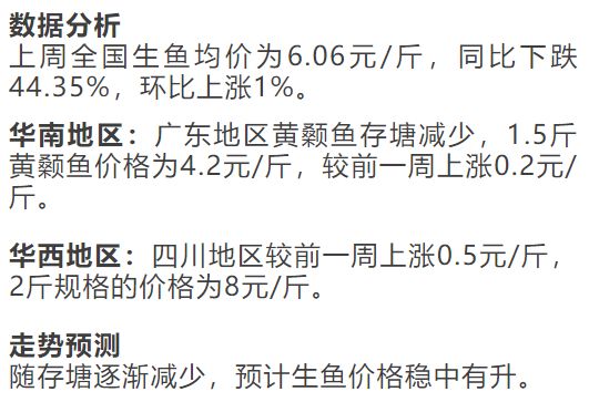 白塘口最新动态综合报道，深度解读最新消息