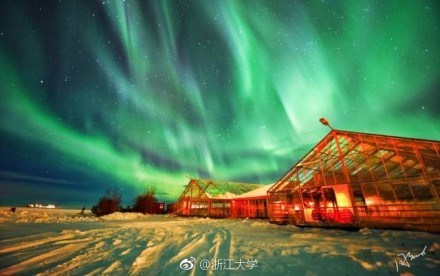 建议，酷乐视探索与自然美景的邂逅，11月3日的平静之旅