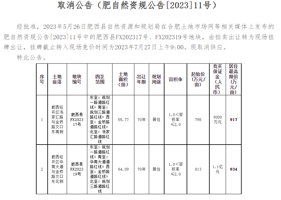 合肥市新任领导团队使命与愿景解读，最新任命公示发布于11月5日