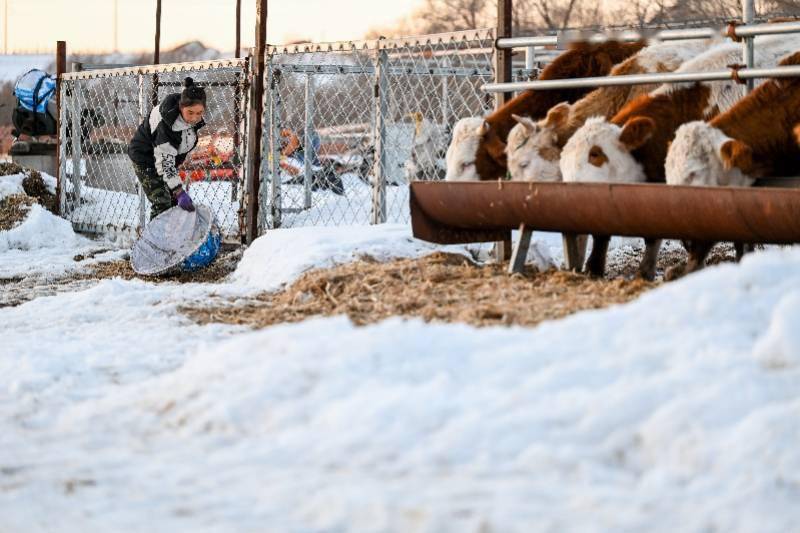 国外雪灾最新动态，正反观点与个人立场分析，雪灾现象深度剖析