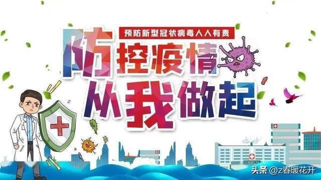 法国最新疫情防控措施下的温馨日常，11月10日的防控新措施与故事回顾