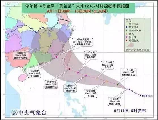 历史上的11月10日最新台风鹦鹉动态，多方观点解析与个人立场阐述标题简洁明了地概括了内容主旨，突出了关于台风鹦鹉的历史消息、多方观点和个人立场的重要性。希望符合您的要求。