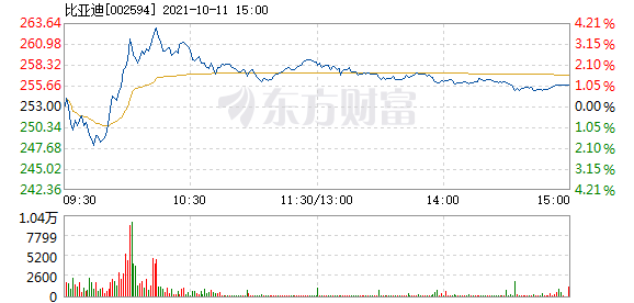 往年11月10日比亚迪股票最新消息全解析，获取途径与指南