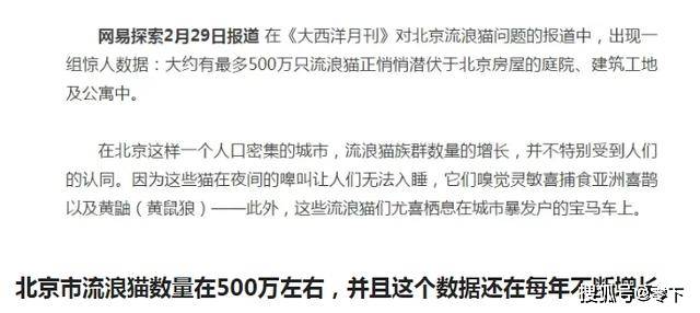 今年最新死亡报告，探寻小巷深处的生命之息与特色小店的背后故事