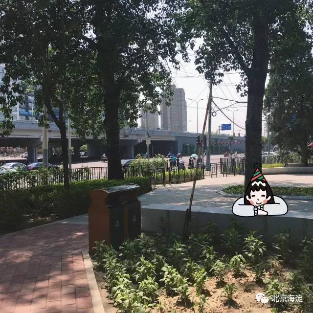 我与最新绿地系统的温馨日常，绿意盎然的新天地探索之旅