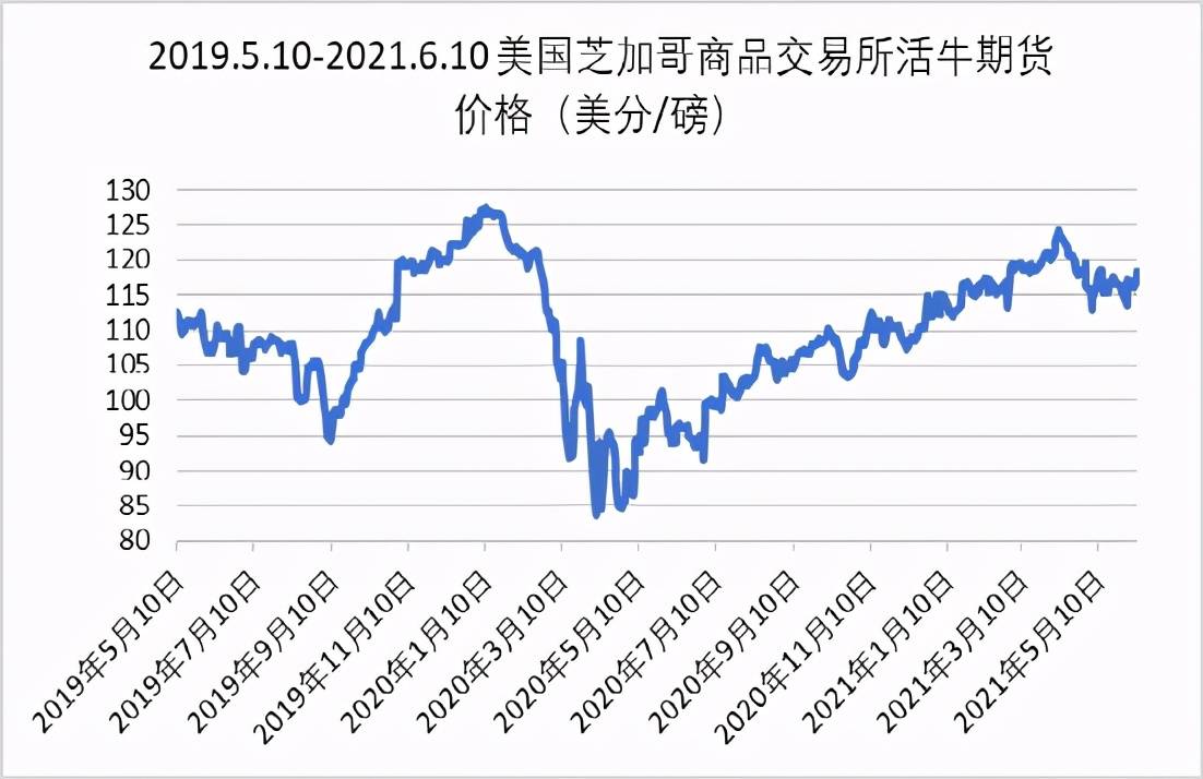 揭秘最新行情走势，11月13日花生米市场深度分析与预测报告