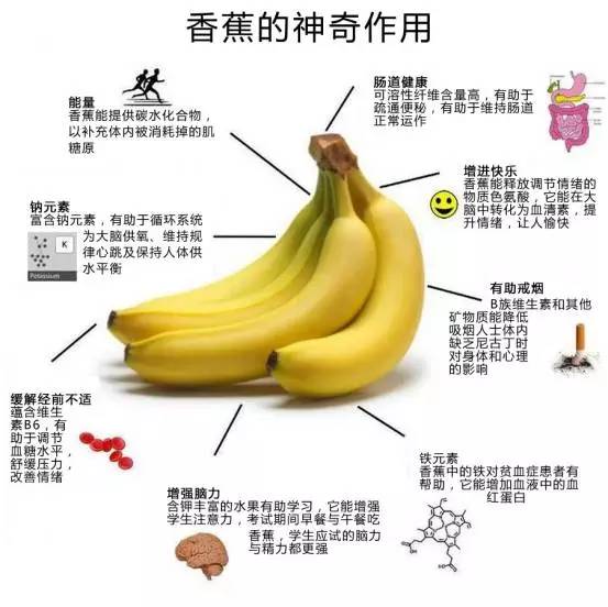 香蕉视频最新版下载，自信与成就力的奇妙学习之旅