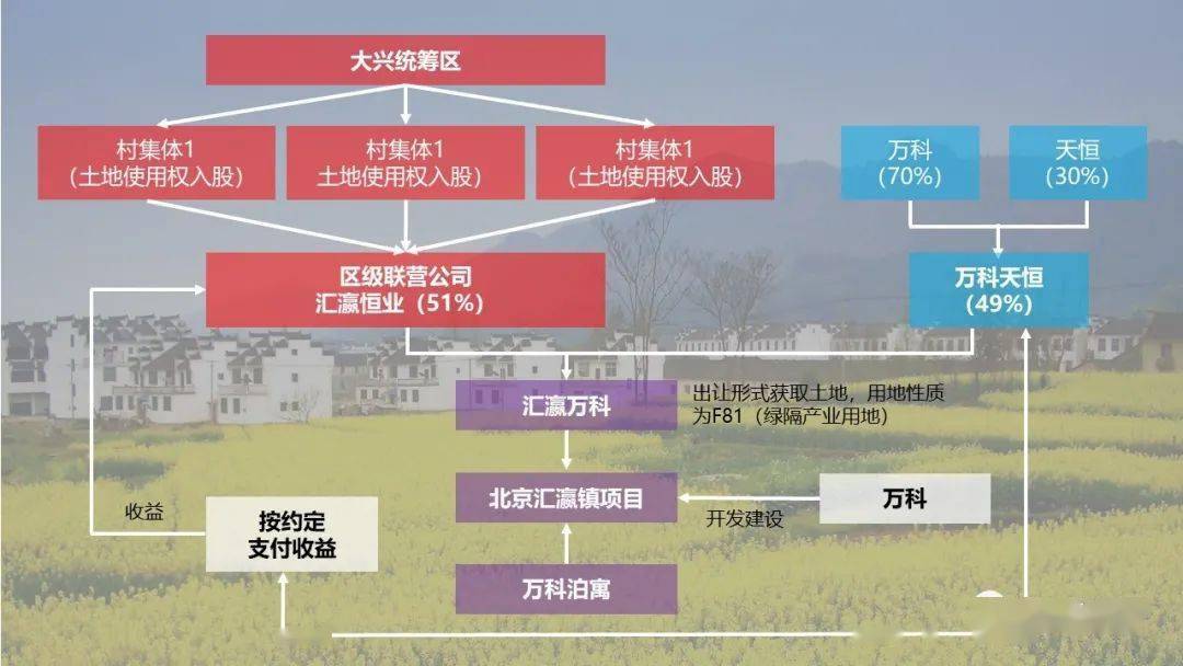 独家揭秘，最新武器打瑞文技巧大解析，轻松掌握上分秘籍（2024年11月版）