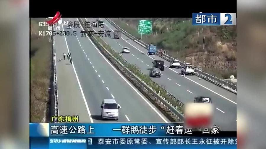 福建冬季高速实时路况直播，畅行无阻的直播之旅