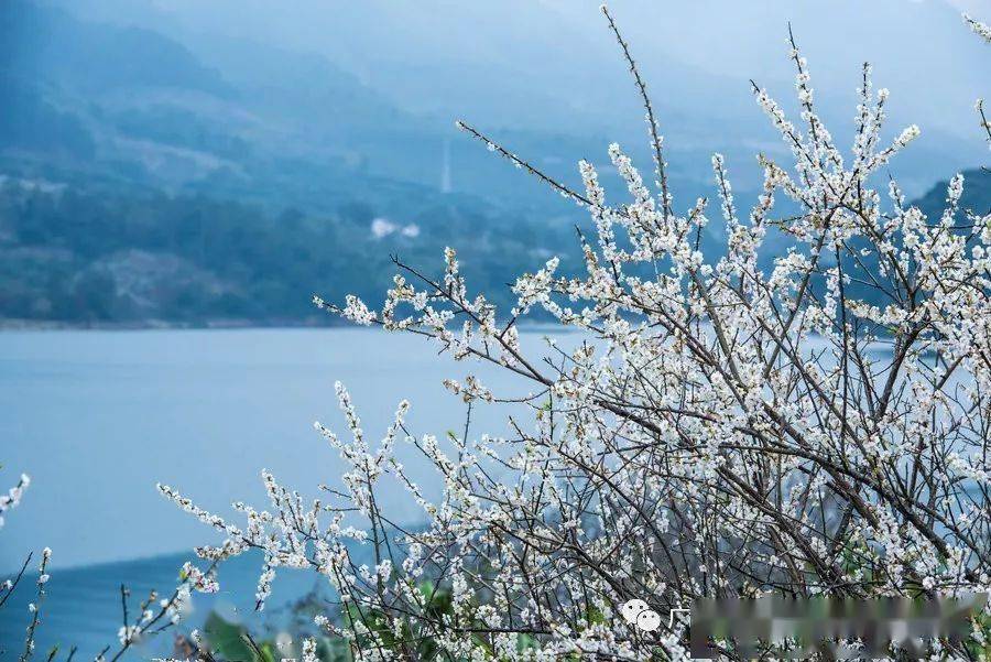 往年12月18日雪落情景，回忆与情感的共鸣实时动态