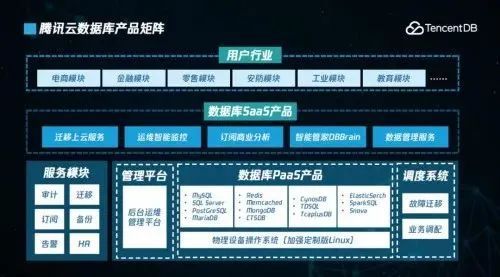 ASP技术展望，未来数据库实时修改的新纪元（猜测至2024年12月18日）