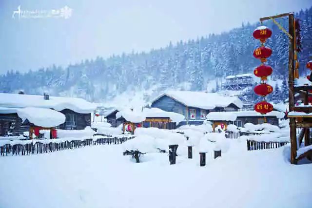 雪乡实时雪景地图，12月26日实拍美景