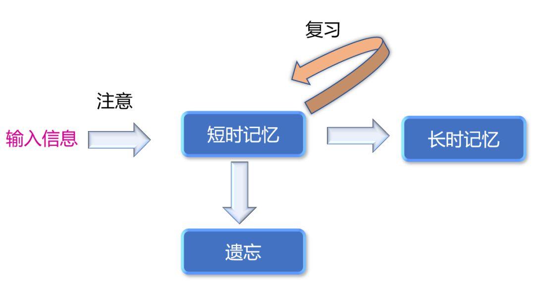 高效复习多科： 