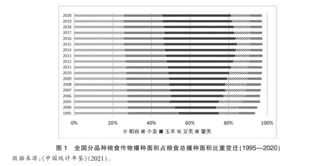 关于非农化非粮化落实情况的深度探讨与解析